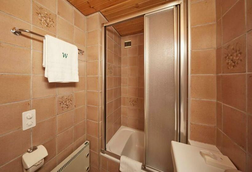 חדר אקונומי יחיד, Waldhaus