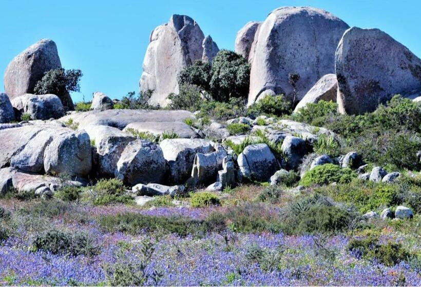 带大床的标准间, The Boulders Langebaan