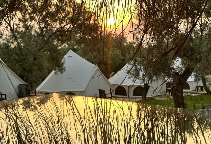 Standard Tent, Elies Tiny Glamping