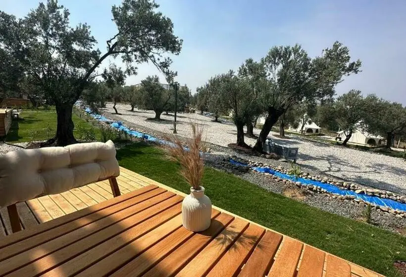 Chalet, Elies Tiny Glamping