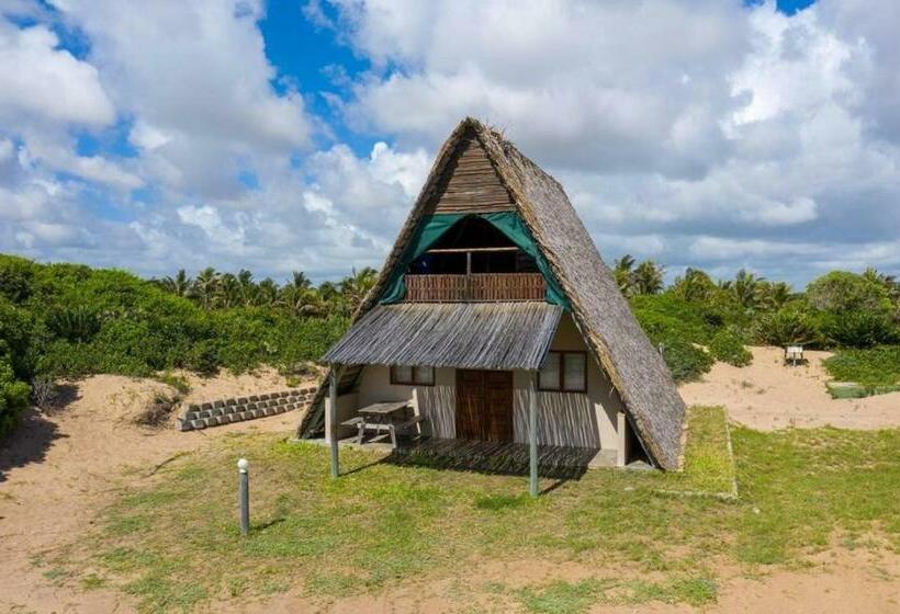 اتاق استاندارد چهار تخته, Singila Ocean Lodge