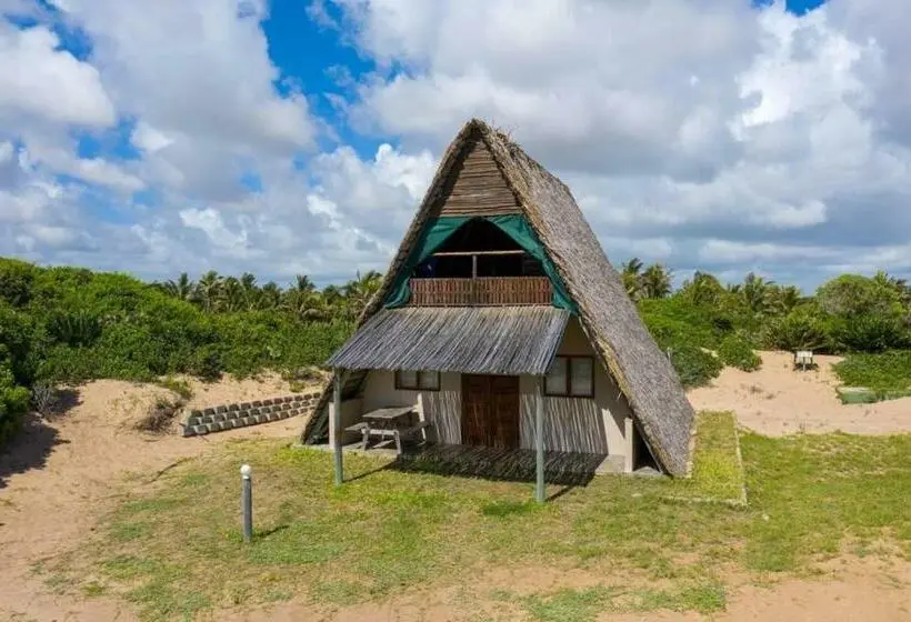 اتاق استاندارد چهار تخته, Singila Ocean Lodge