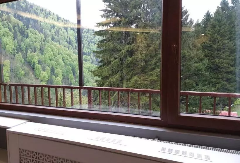 スイート（家族用）, Ayder Doga Resort