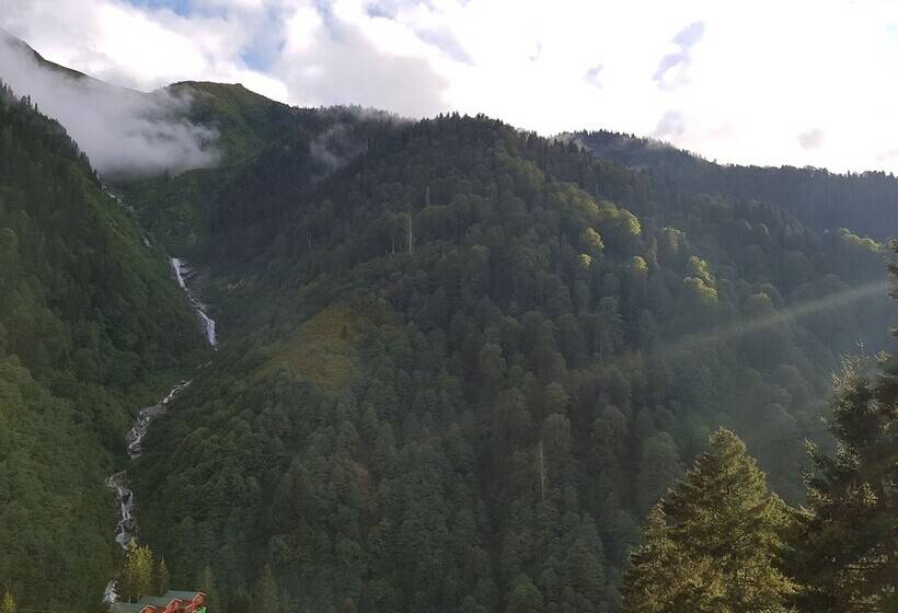 استودیوی استاندارد با تخت دوبل, Ayder Doga Resort
