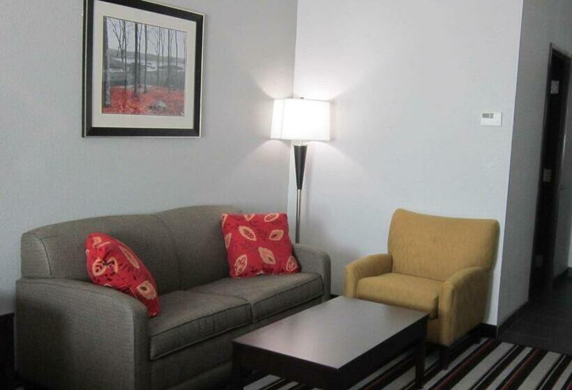 جناح لذوى الاحتياجات الخاصة, Best Western Plus Cowetas 1st