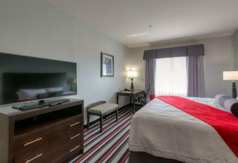 身障者適用キングサイズベッドルーム, Best Western Plus Cowetas 1st
