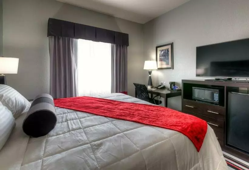 身障者適用キングサイズベッドルーム, Best Western Plus Cowetas 1st