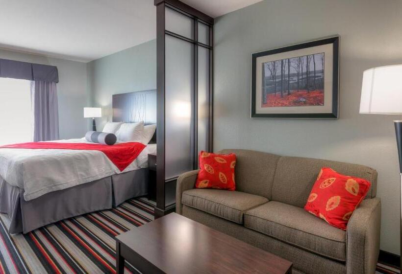 جناح لذوى الاحتياجات الخاصة, Best Western Plus Cowetas 1st