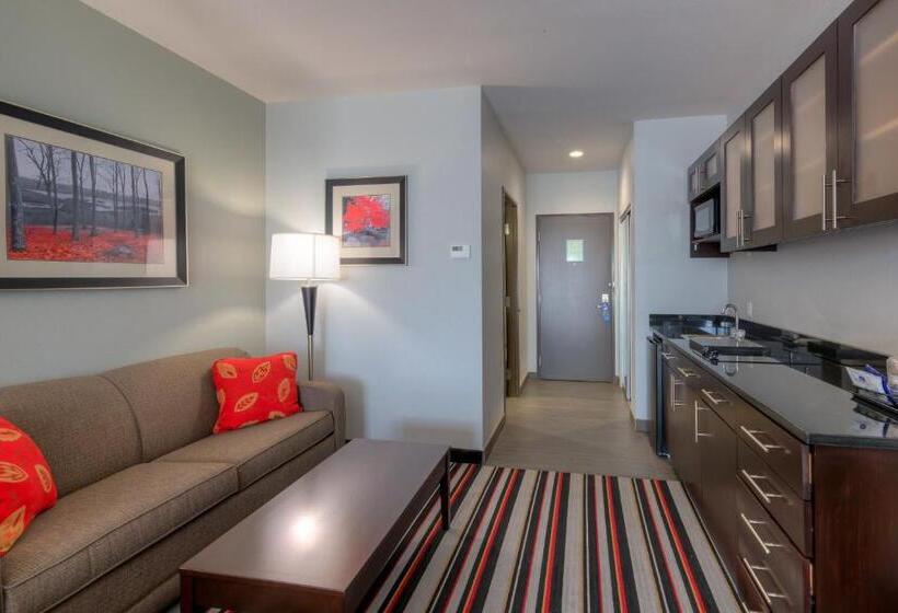 جناح سرير كينج, Best Western Plus Cowetas 1st