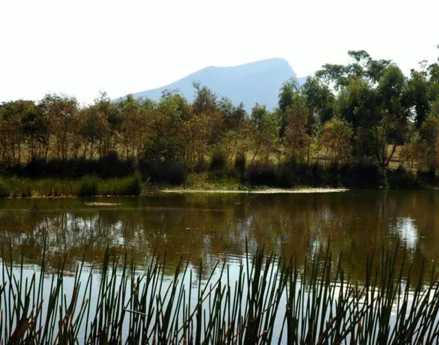 スタンダードルーム, Grampians View B&b