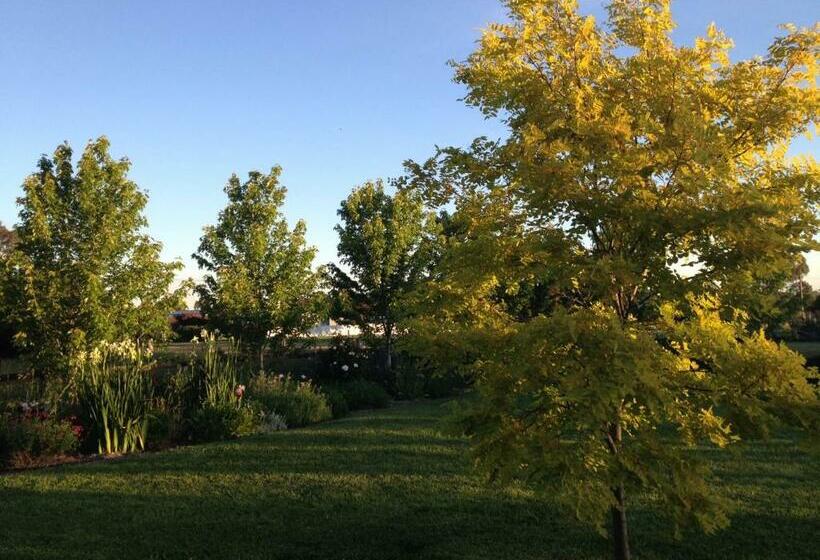 Camera Standard, Grampians View B&b