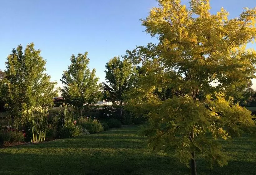 スタンダードルーム, Grampians View B&b