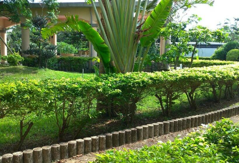 اتاق استاندارد چهار تخته, Howard Kenting Wonder House