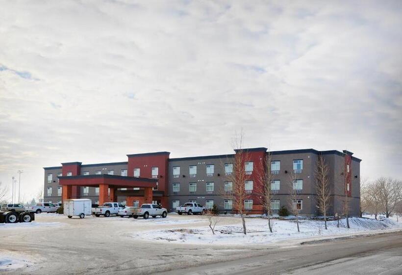 חדר סטנדרט, Kindersley Inn