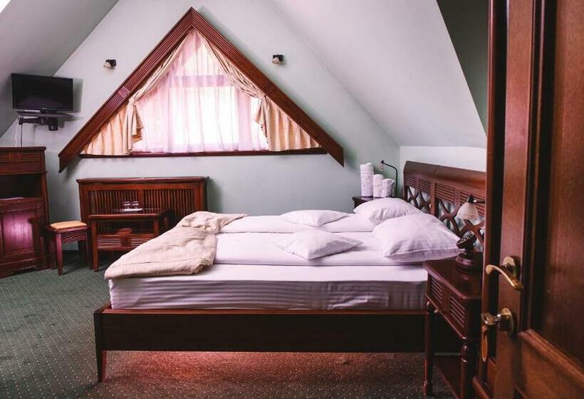 スタンダードルーム, Pension Brasovu Vechi