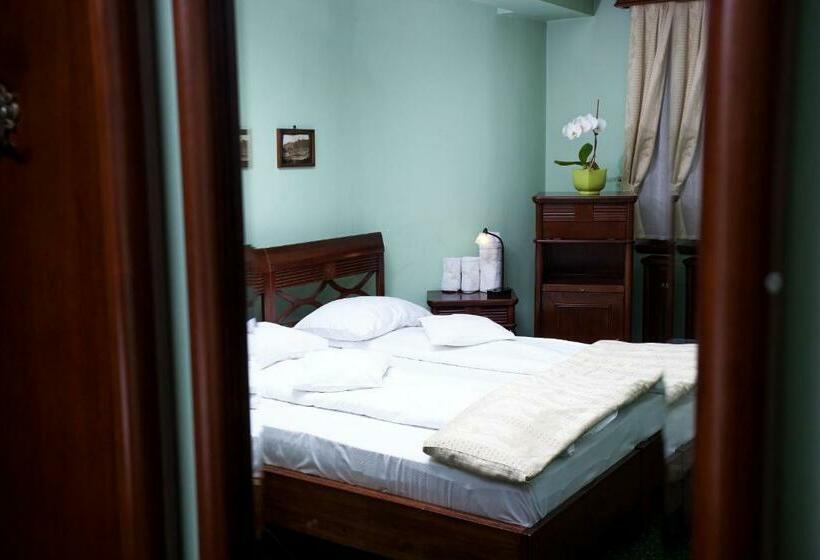 スタンダードルーム, Pension Brasovu Vechi