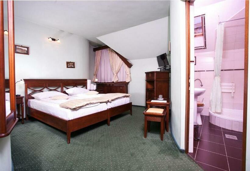 スタンダードルーム, Pension Brasovu Vechi