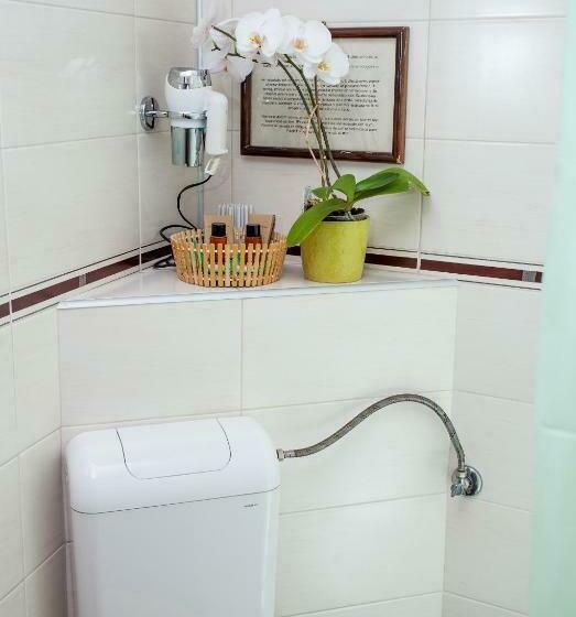 スタンダードルーム, Pension Brasovu Vechi