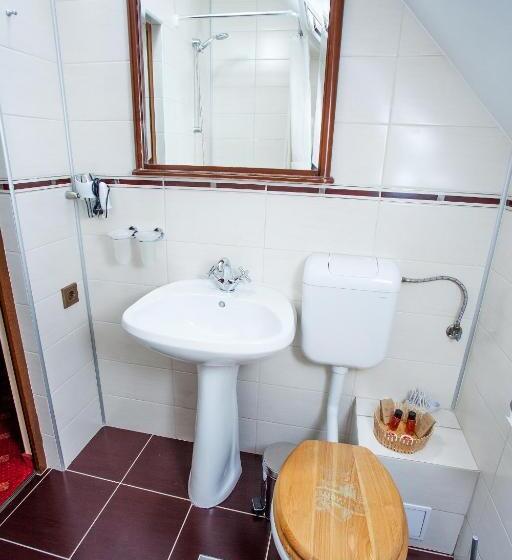 デラックスルーム, Pension Brasovu Vechi