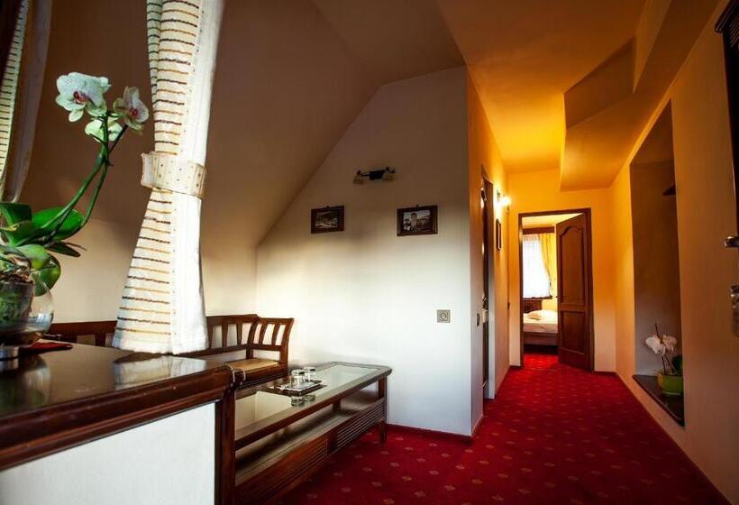 Номер Deluxe, Pension Brasovu Vechi