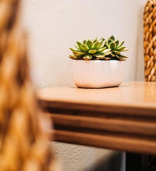 סוויטת ג'וניור, Zoe Seaside Resort