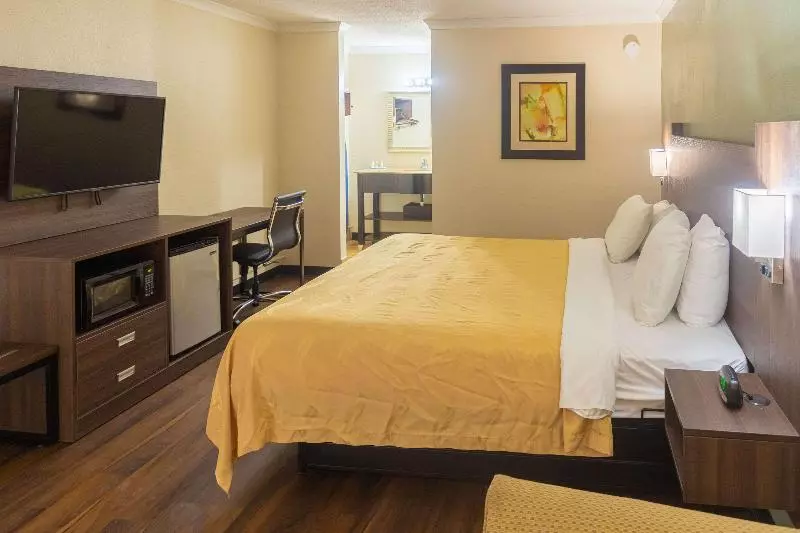 Suite with Terrace