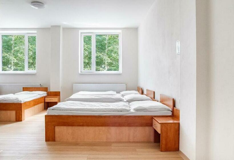 ルームシェアのワンベッド, Hostel Beskydy