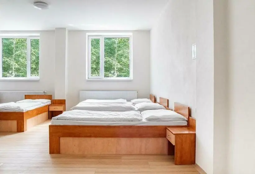 ルームシェアのワンベッド, Beskydy House