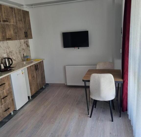 غرفة قياسية, Istanbul Airport Family Suites