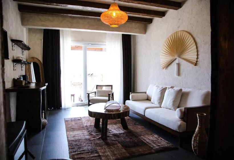 标准间带露台, Mavi̇ At Hotel Blue Horse