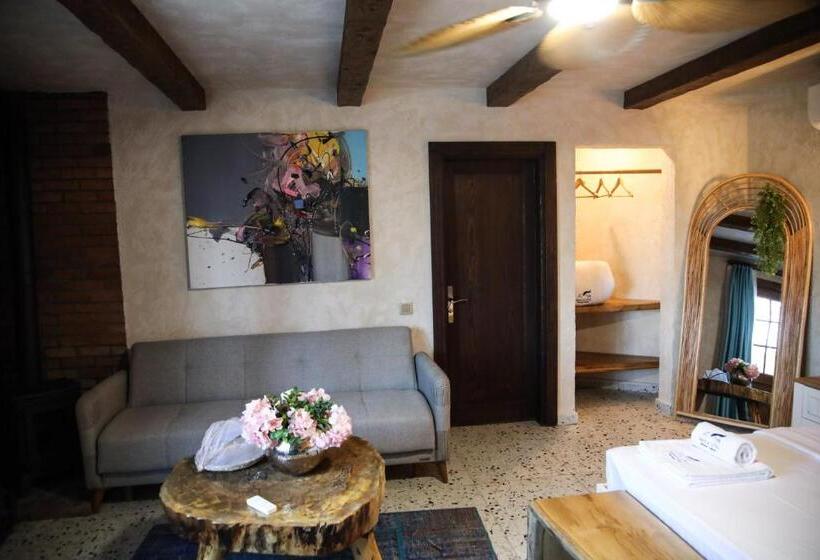 带园景的单人房, Mavi̇ At Hotel Blue Horse