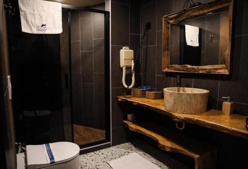 带园景的单人房, Mavi̇ At Hotel Blue Horse