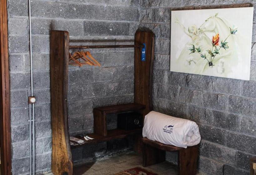 带园景的单人房, Mavi̇ At Hotel Blue Horse