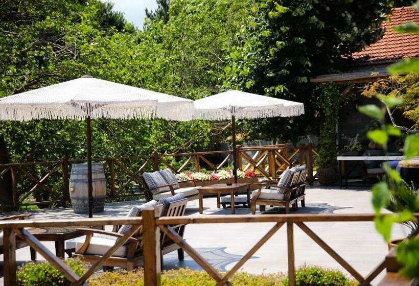 家庭房带园景, Mavi̇ At Hotel Blue Horse