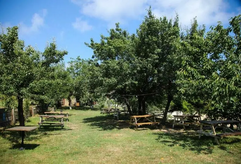 Classic Kolmen Hengen Huone, Mavi̇ At Hotel Blue Horse