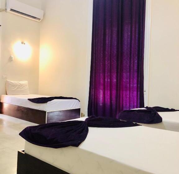 اتاق استاندارد یک نفره, Oh! Cairo Pharaoh Hostel