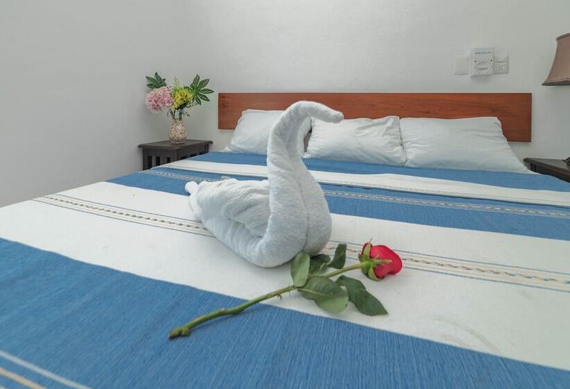 اتاق استاندارد, La Trigueña