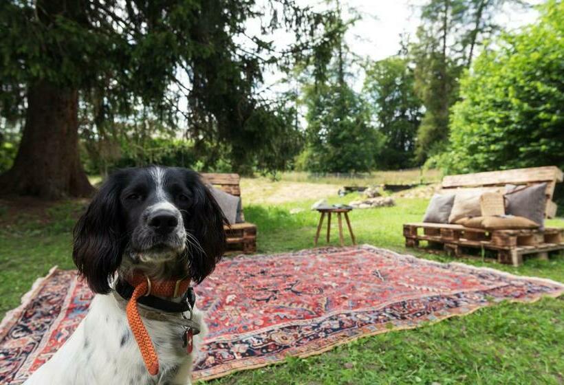 غرفة قياسية, Le Wafo