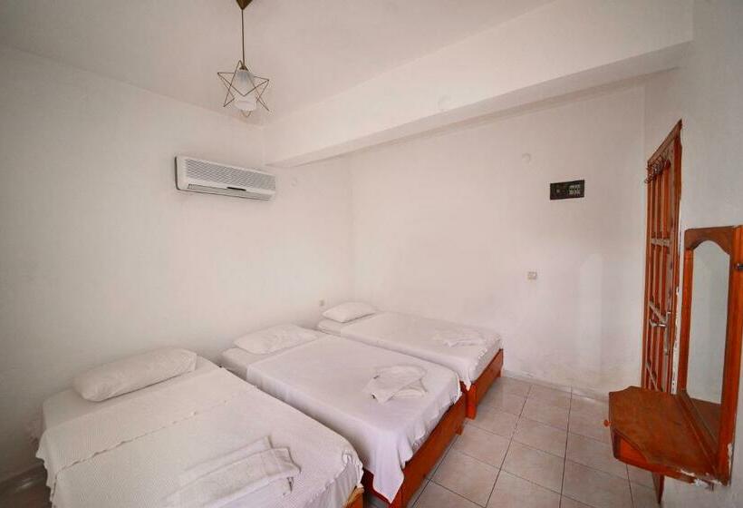 １ベッドルームアパートメント, Fethiye Apart Otel