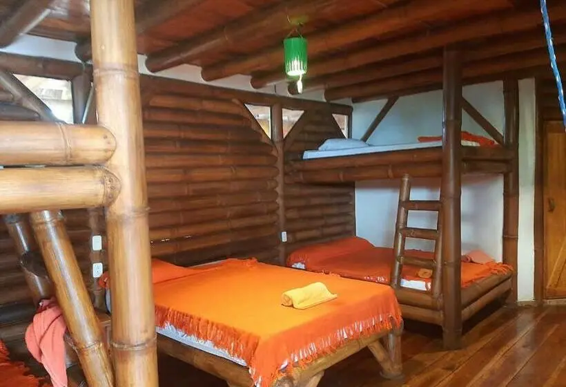 Családi Szoba, Bambu Mompiche