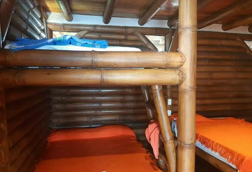 Családi Szoba, Bambu Mompiche