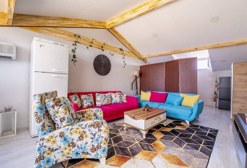 اتاق استاندارد, Stanbol Apart