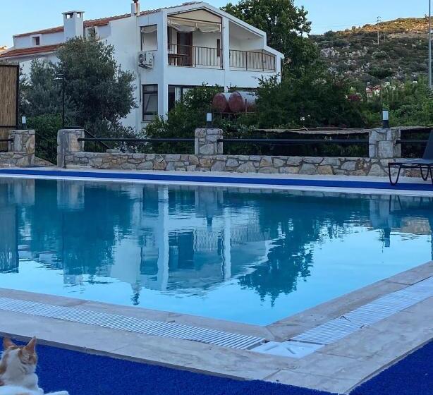 Апартаменты 1 Спальня Вид на Бассейн, özgüm Suite Otel