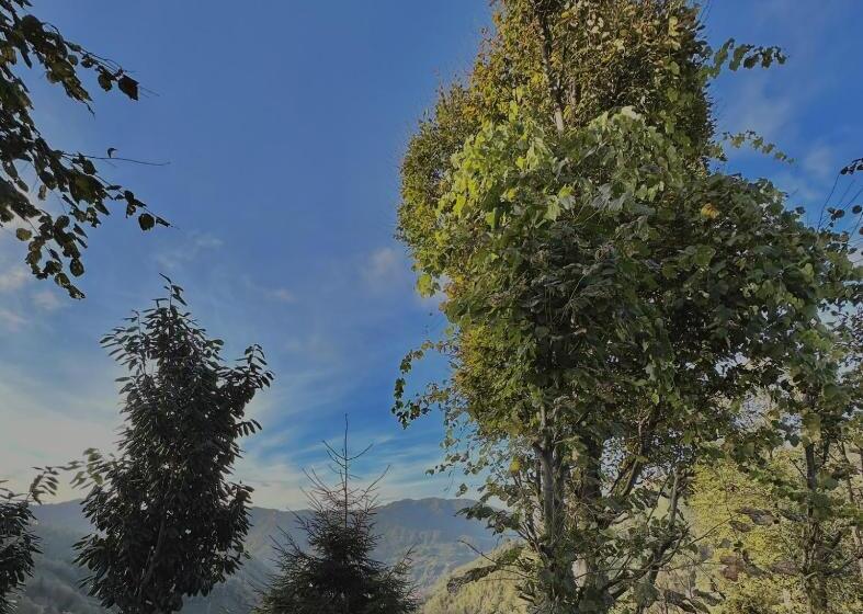 חדר סופריור נוף לגינה, Ri̇ze Sereni̇ty Bungalov