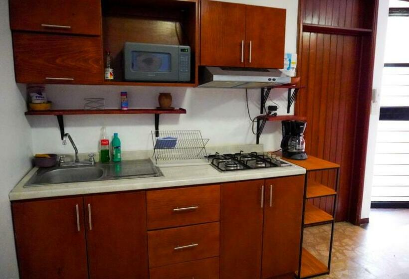 חדר סטנדרט, Hostal Chocolate Calenda