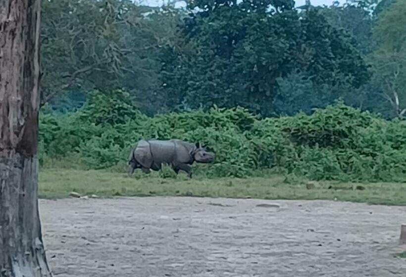 חדר דלוקס עם מרפסת, Dooars Velley Home Stay