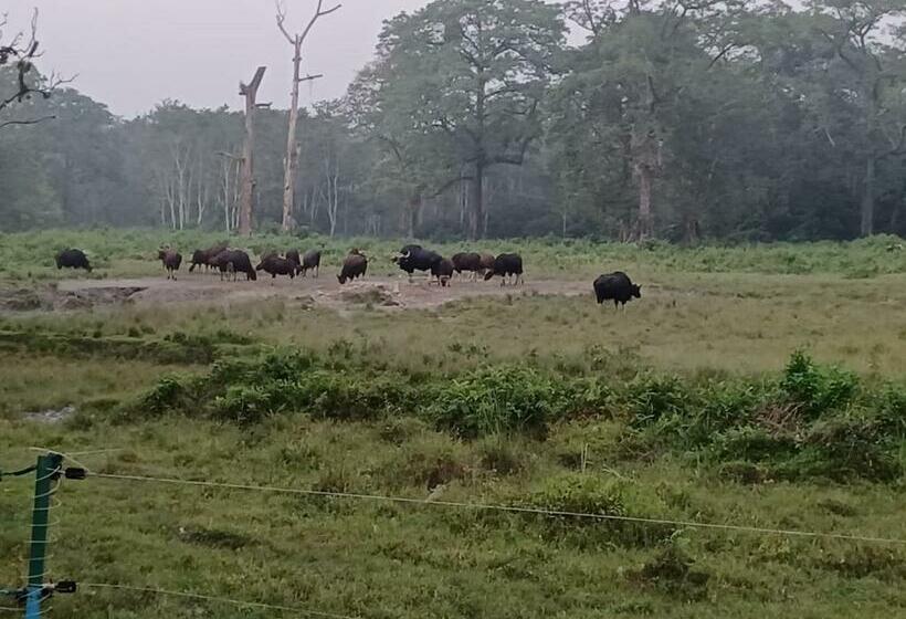 חדר דלוקס עם מרפסת, Dooars Velley Home Stay