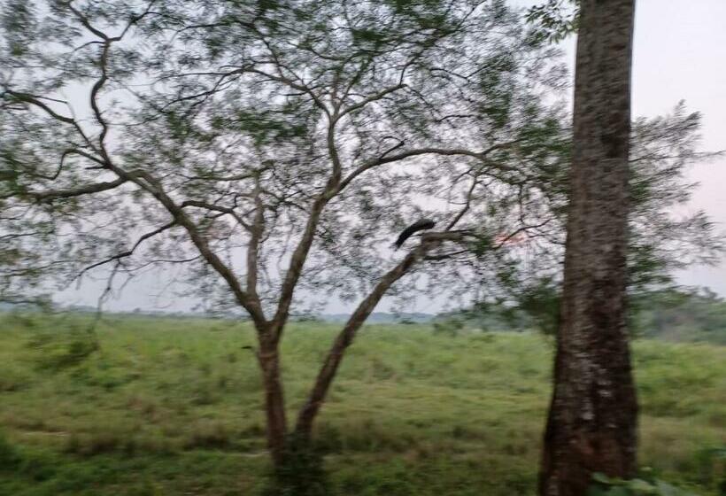 חדר דלוקס עם מרפסת, Dooars Velley Home Stay