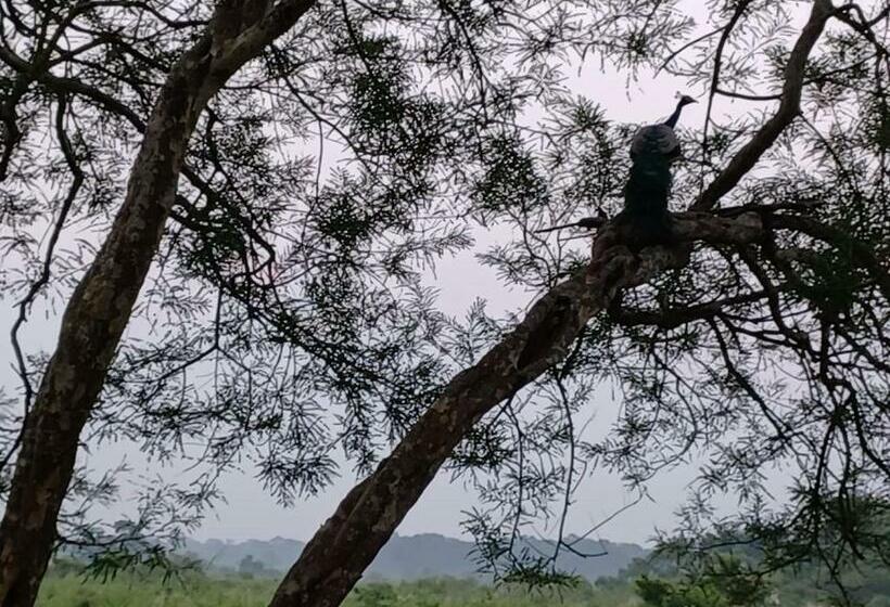 חדר דלוקס עם מרפסת, Dooars Velley Home Stay