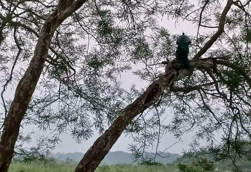 חדר דלוקס עם מרפסת, Dooars Velley Home Stay